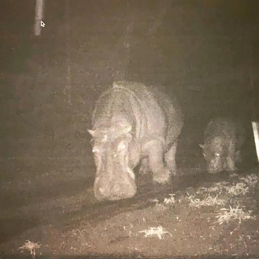 Mudhouse Zululand Villa Hluhluwe Bagian luar foto