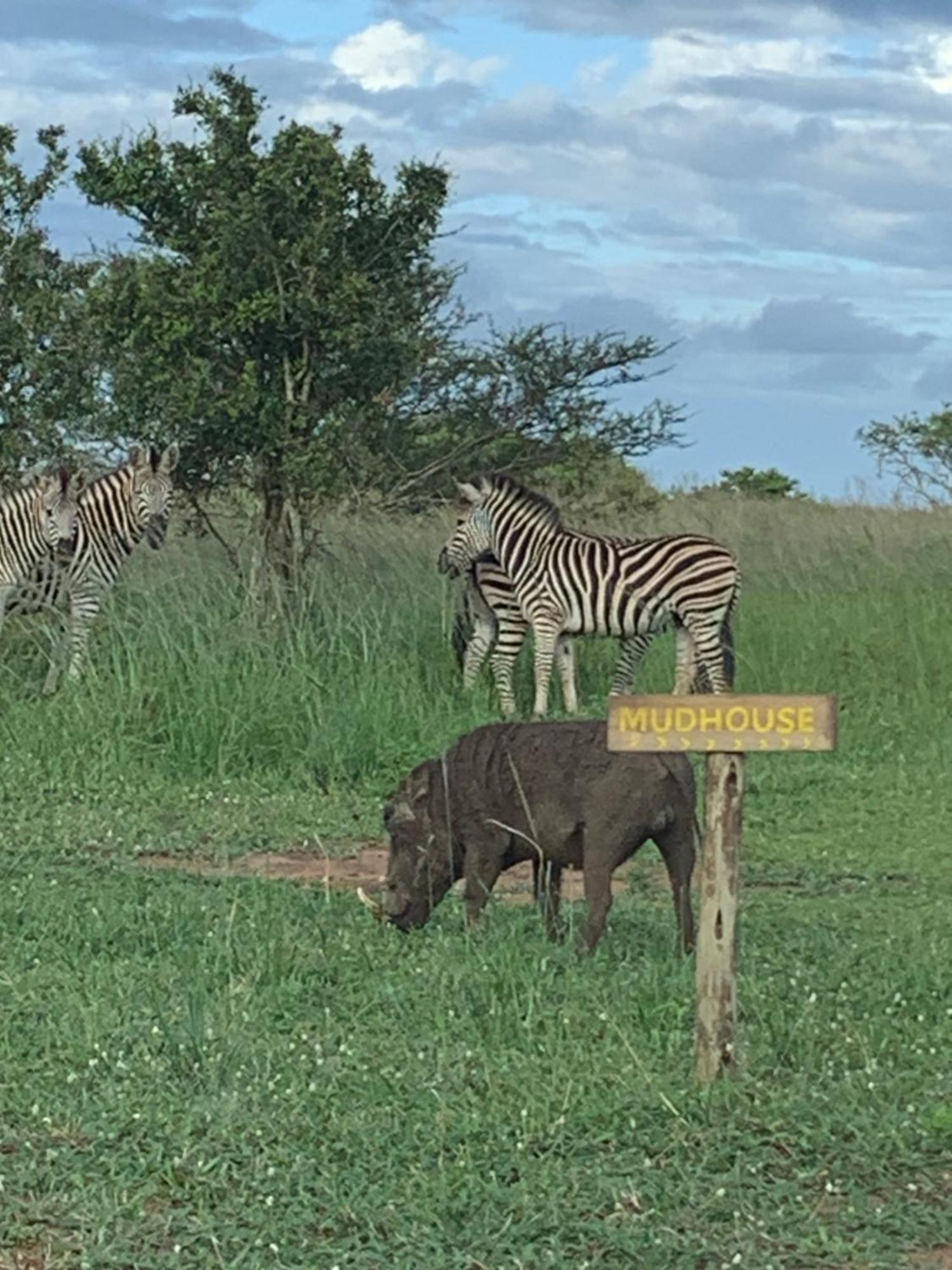 Mudhouse Zululand Villa Hluhluwe Bagian luar foto