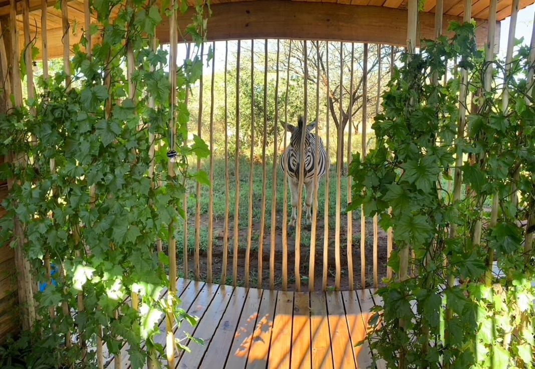 Mudhouse Zululand Villa Hluhluwe Bagian luar foto